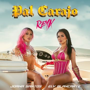Pal Carajo (Remix)-cover