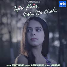 Tujhe Kaise Pata Na Chala-cover