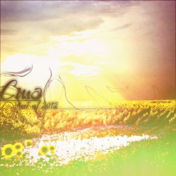 Amor-cover