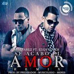 Se Acabo el Amor (Remix)(Remix)