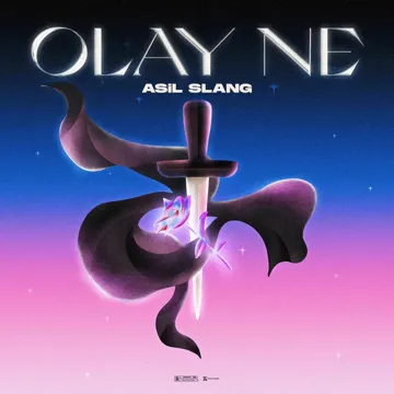 Olay Ne?-cover