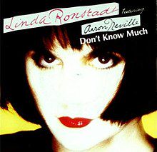 Don't Know Much-cover