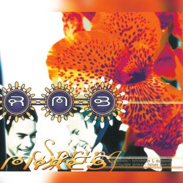 Spring - Microwave Prince Remix-cover