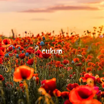 coveImg