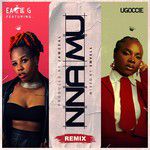 Nnamu [feat. Ugoccie](Alternate Mix)(Remix)