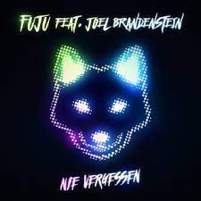 Nie Vergessen(MADIZIN & Fuju Mix)-cover