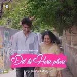 Dil Ki Hera Pheri-cover