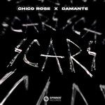 SCARS-cover