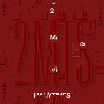 2MTS-cover