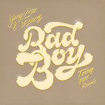 Bad Boy(Torren Foot Remix)-cover