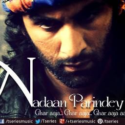 Nadaan Parindey-cover