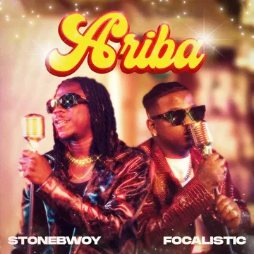 ARIBA-cover