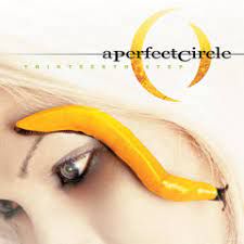 a-perfect-circle-the-nurse-who-loved-me-cover-image