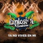 Quien No Lloro Por Amor(version cumbia)
