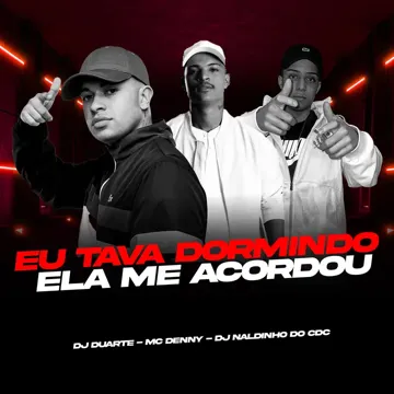 EU TAVA DORMINDO, ELA ME ACORDOU COM UM BOQUETE-cover