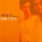 最美-cover