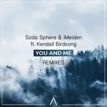 You And Me (feat. Kendall Birdsong) [BrillLion Remix]-cover