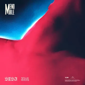 coveImg