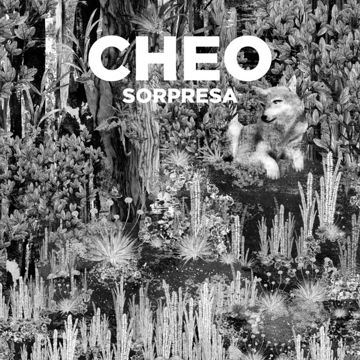 cheo-carnaval-cover-image