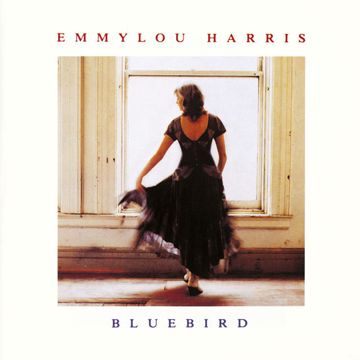 Bluebird-cover