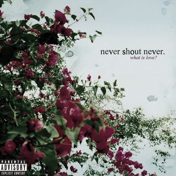 Never Ever-cover