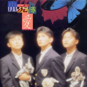美丽的错误-cover