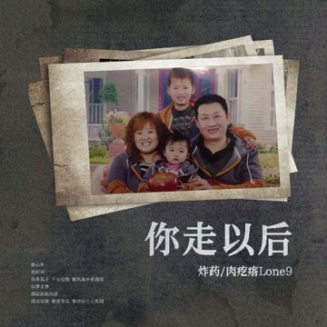 你走以后-cover
