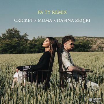 Pa ty - Remix-cover