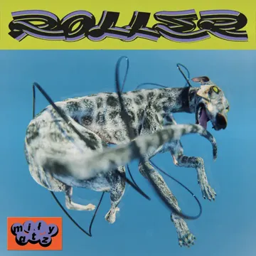 DON-cover