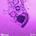 Reprise-cover