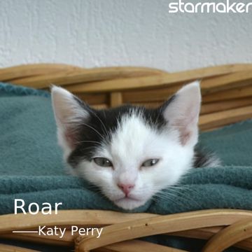 Roar-cover