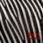 Back To The S₩AG-cover
