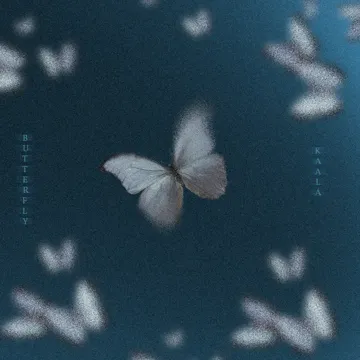 Butterfly-cover