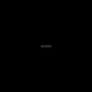 invisible-cover