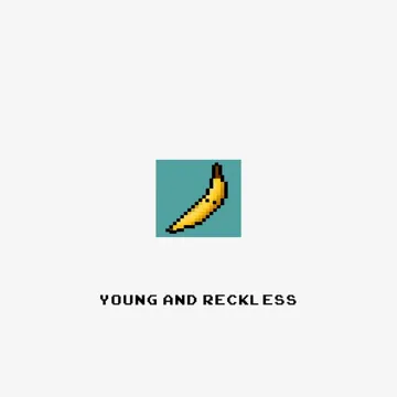 Young & Reckless-cover