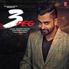 3 Peg-cover