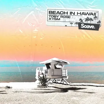 Beach In Hawaii-cover
