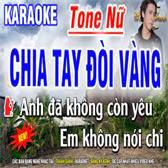 Chia Tay Đòi Vàng-cover