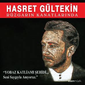 Şu Kanlı Zalimin Ettiği İşler-cover