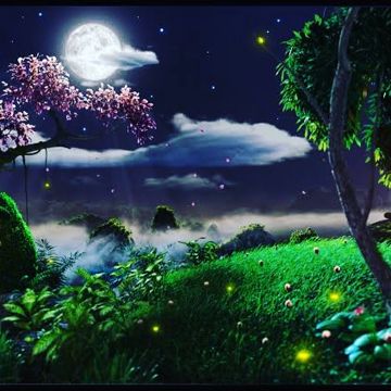 Relaxing natural romantic music-cover