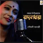 Amar Nishith Raater Badal Dhara-cover
