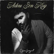 Adını Sen Koy-cover