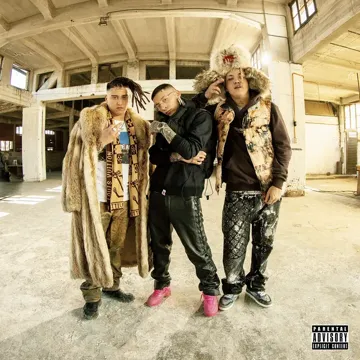 Big Cut-cover