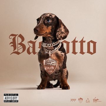 Bassotto-cover