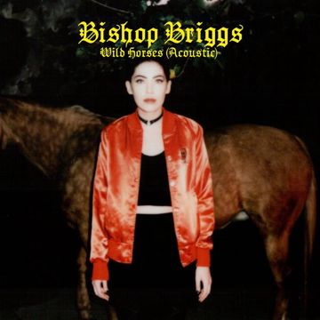 Wild Horses (Acoustic)-cover