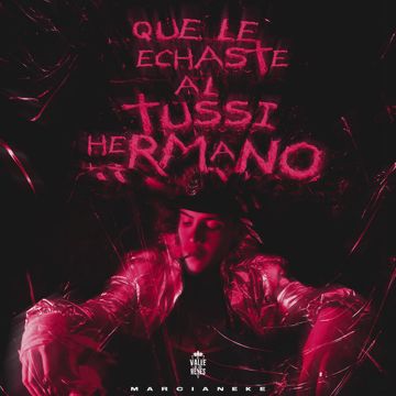 Qué Le Echaste al Tussi Hermano-cover