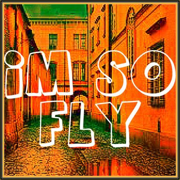 I'm So Fly-cover