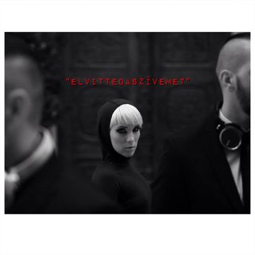 Elvitted a szívemet