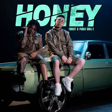 Honey-cover