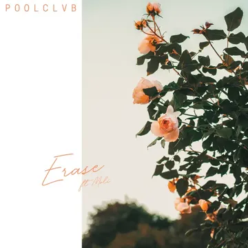 Erase-cover